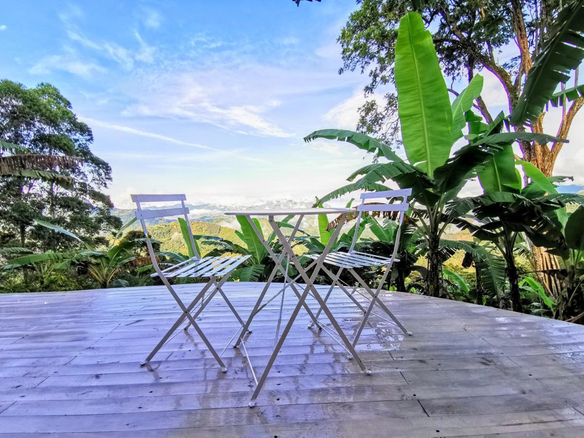 Bajo El Cielo Glamping San Francisco Hotel San Francisco  Eksteriør billede